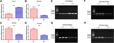 Analysis of characteristic genes and ceRNA regulation mechanism of endometriosis based on full transcriptional sequencing